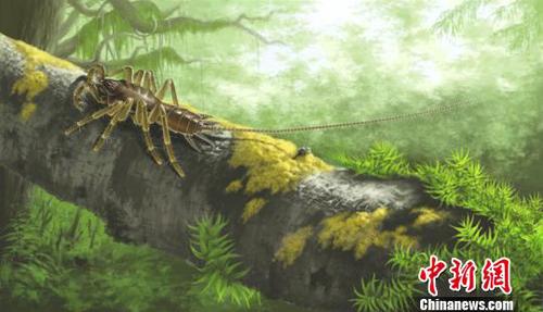 缅甸琥珀中怪物蜘蛛(Chimerarachne yingi)的生态复原。南古所 制图