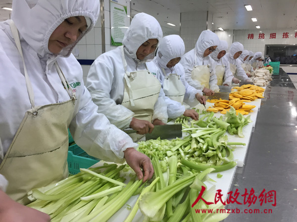 1-工作人员正在摘菜切菜_副本