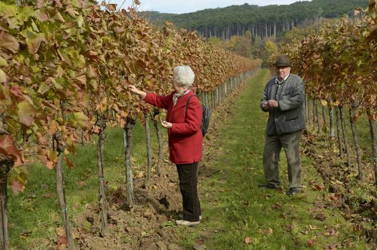 告诉父母别做这几个动作