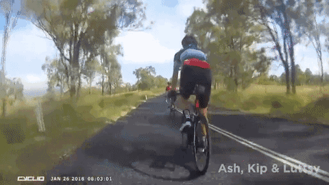 小伙和父亲正在庭院喝茶 突然一条鲨鱼从天而降