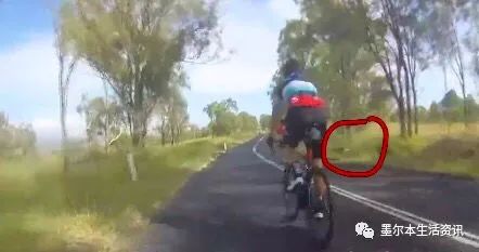 小伙和父亲正在庭院喝茶 突然一条鲨鱼从天而降