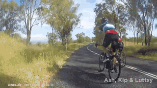 小伙和父亲正在庭院喝茶 突然一条鲨鱼从天而降