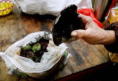 儿行千里远赴东北 四川母亲把家的味道塞满后备箱