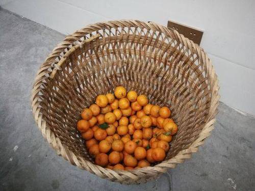 儿行千里远赴东北 四川母亲把家的味道塞满后备箱