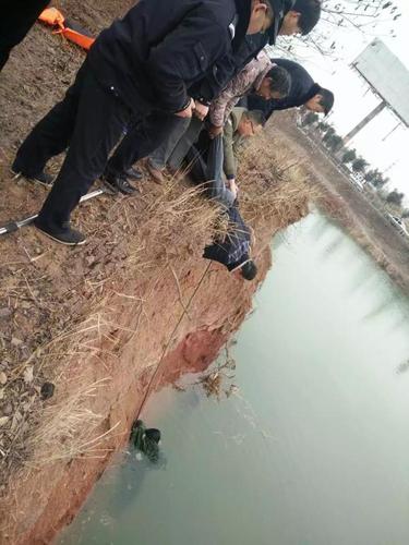 女子轻生跳水 警民联手猴子捞月将其救出