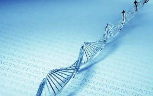 家里有肺癌患者 其他人需做基因检测吗？