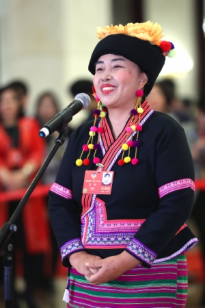 （10）全国政协委员接受采访