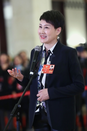 （15）全国政协委员接受采访