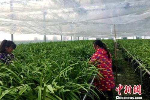 点击进入下一页