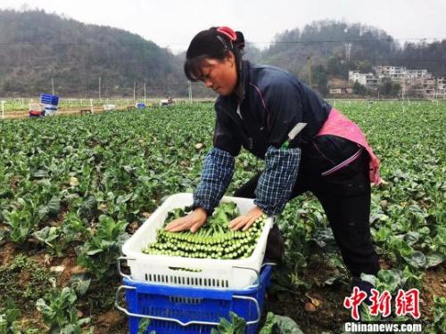 点击进入下一页