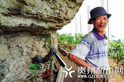 村民上山开荒发现世外桃源 在山洞一住10年