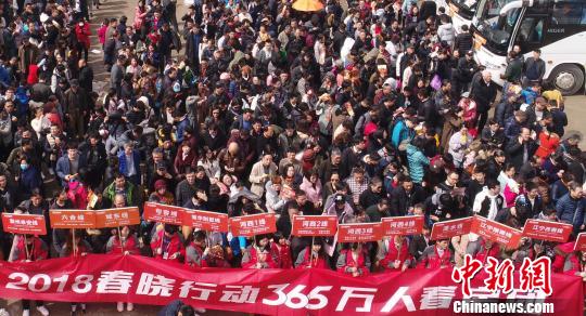 看房团浩浩荡荡。　朱晓颖 摄