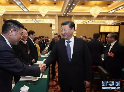 2017年3月4日下午，习近平看望参加全国政协十二届五次会议的民进、农工党、九三学社委员，并参加联组会，听取意见和建议。新华社记者 鞠鹏 摄