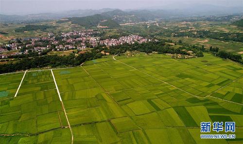 W020170817471784187505 W020170817471784187505