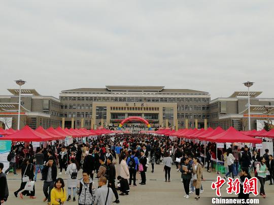 图为招聘会?！⊥跹蘖?摄