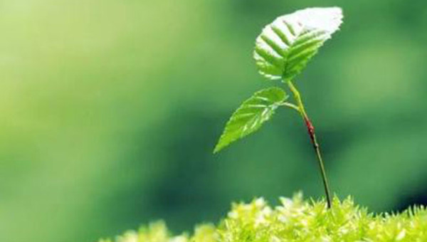 MAIN201803101055397099858910303 MAIN201803101055397099858910303