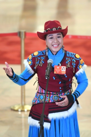 （3）全国政协委员接受采访