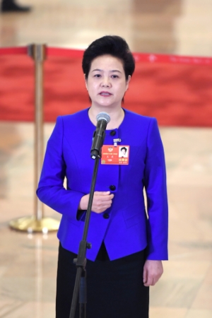 （4）全国政协委员接受采访