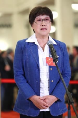 （10）全国政协委员接受采访