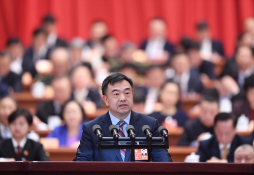 （2）全国政协十三届一次会议第三次全体会议大会发言