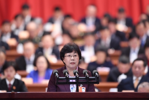 （8）全国政协十三届一次会议第三次全体会议大会发言