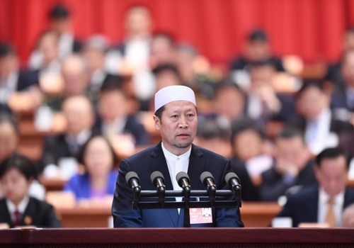 （12）全国政协十三届一次会议第三次全体会议大会发言