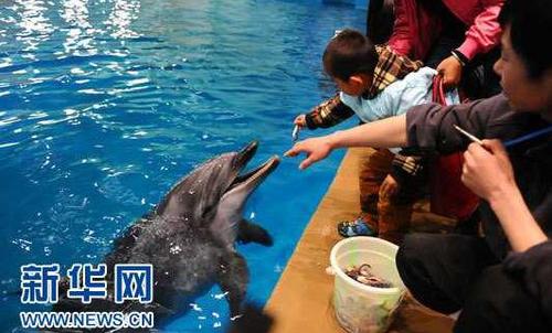 QQ截图20180313172552