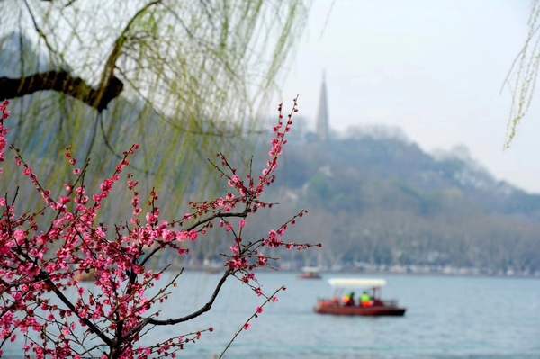 微信图片_20180316153158