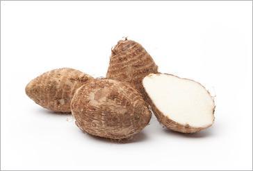 踏春出游别乱采乱吃 这种野薯毒性极强