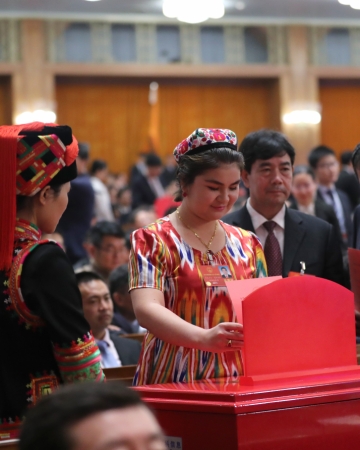 （8）十三届全国人大一次会议举行第六次全体会议