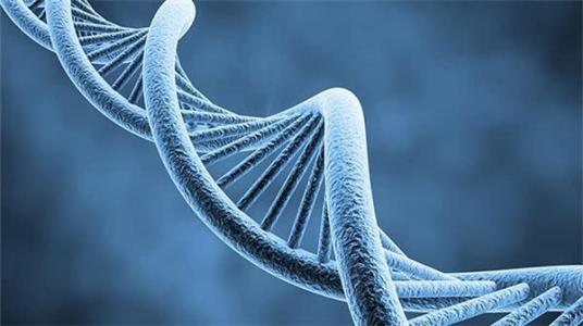 女性进行健康基因检测有啥好处？