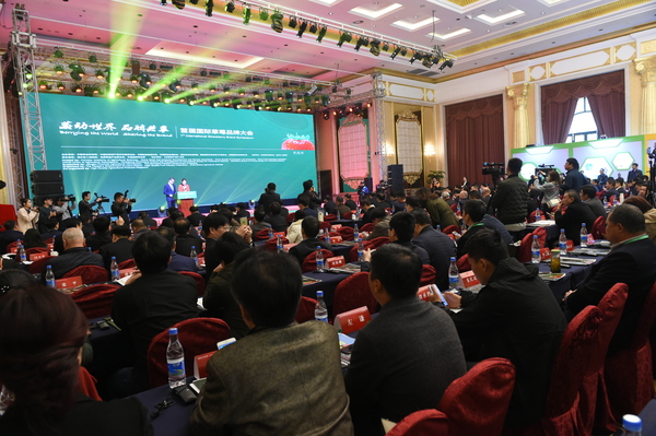 首届国际草莓品牌大会现场