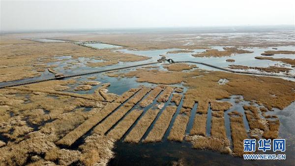 3月29日无人机拍摄的白洋淀景区。自2017年4月1日横空出世，白洋淀所在的河北雄安新区设立至今已届周年。雄安新区设立一周年之际，世界目光再次聚焦这个新时代中国改革开放的新地标。