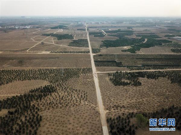 3月30日无人机拍摄的雄安新区“千年秀林”工程施工现场。自2017年4月1日横空出世，白洋淀所在的河北雄安新区设立至今已届周年。雄安新区设立一周年之际，世界目光再次聚焦这个新时代中国改革开放的新地标。