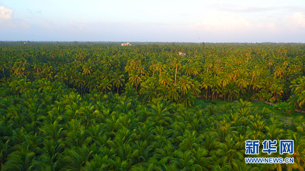 1121826707_15083979215651n