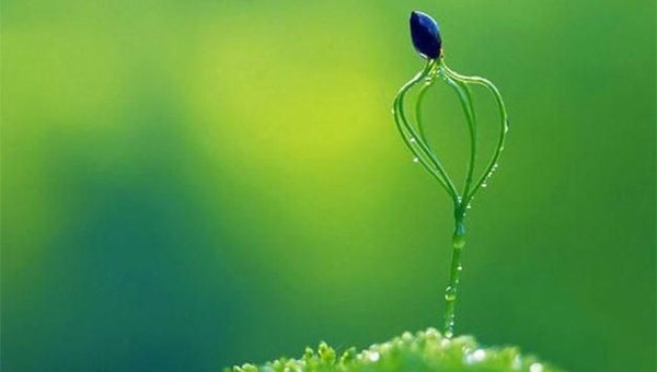 MAIN201804041010491932231985029