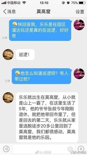 敦煌莫高窟小狗每天绕窟区巡逻走红 被称窟霸