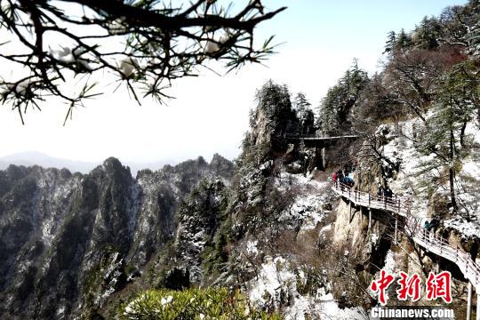 雪后老君山呈现峰林美景 王中举 摄