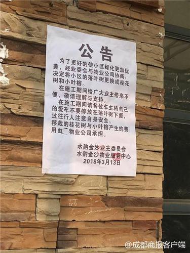 小区50多棵树被移栽业主却不知情 城管局:属违规