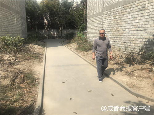 小区50多棵树被移栽业主却不知情 城管局:属违规