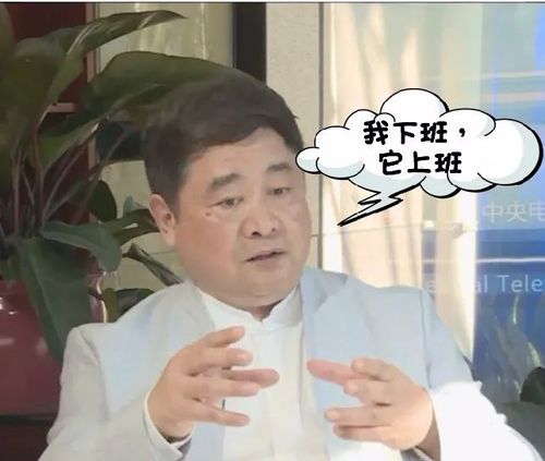 故宫扫不扫雪?博鳌论坛上故宫掌门人回答这些问题