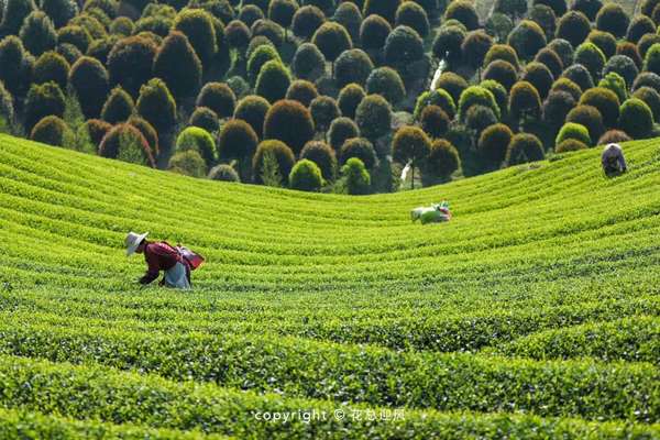 微信图片_20180411095424