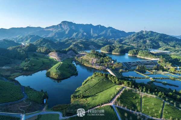 微信图片_20180411095431