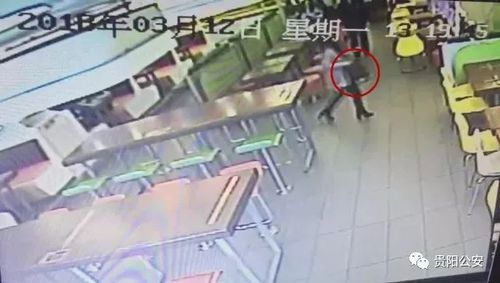 情侣变鸳鸯大盗  贵阳警方用人脸识别系统抓获