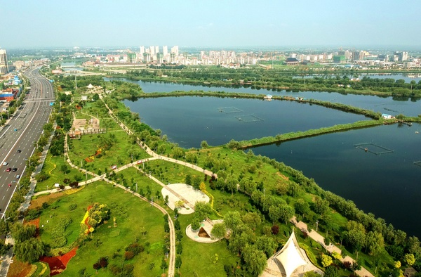 W020170810311414359592 W020170810311414359592