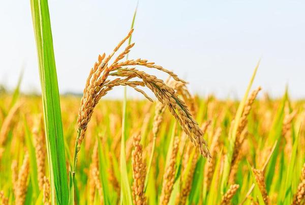 QQ截图20180416104333