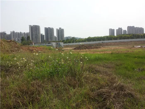 广西前首富跑路?名下地块涉多次抵押 6亿元起拍