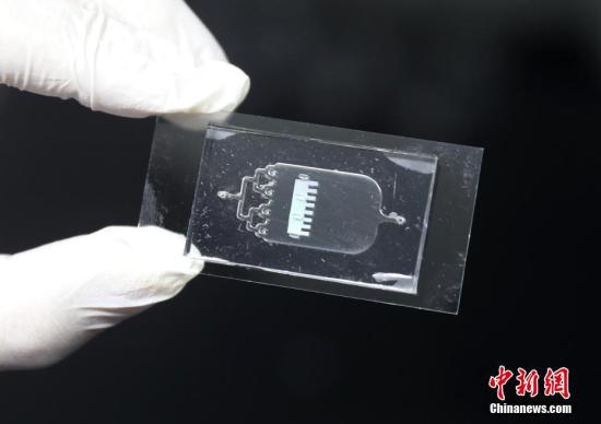 4月2日，东南大学生物医学工程学院生物电子学国家重点实验室赵远锦教授在南京展示由他带领的课题组研发的“变色龙”心脏芯片。据了解，“器官芯片”是利用微加工技术，通过在微流控芯片上仿生构建微器官来替代生物体，进行药物评估和生物学研究等，该项技术作为构建未来新药评价体系的重要发展趋势，近年来越来越受到业界关注。<a target='_blank' href='http://www.chinanews.com/'>中新社</a>记者 泱波 摄
