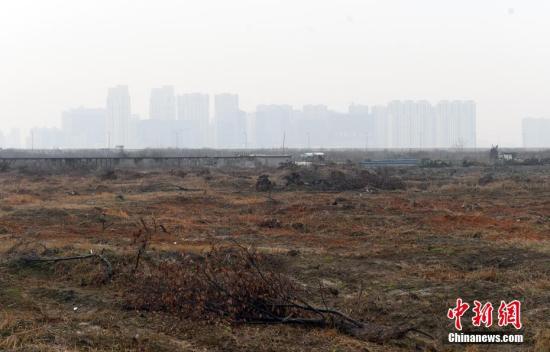 资料图：土地已平整的区块。<a target='_blank' href='http://www.chinanews.com/'>中新社</a>记者 王刚 摄