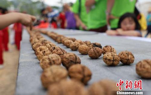 广东武术高手1分钟手劈337颗核桃打破去年纪录（图）